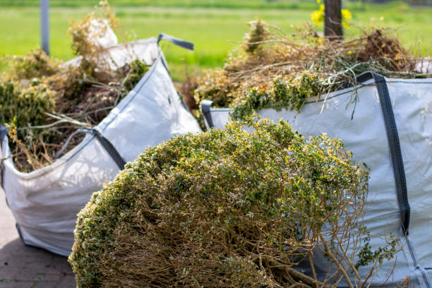 Best Electronics and E-Waste Disposal  in Medpolis, IA